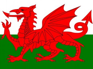 uels flag CG 텍스쳐