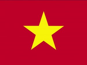 vietham flag CG Textures