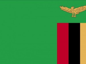 zambia flag CG Текстуры