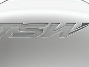 TWS logo Model 3D