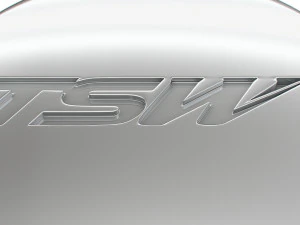 TWS logo 3D Model