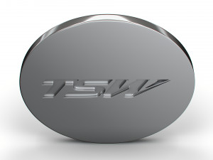 TWS logo Model 3D