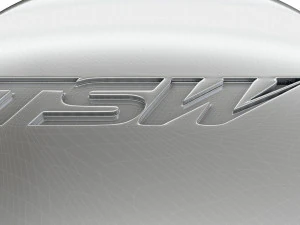 TWS logo 3D Model