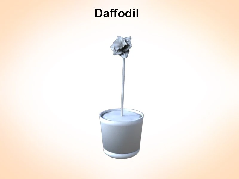 daffodil 3D Model .c4d .max .obj .3ds .fbx .stl .blend 