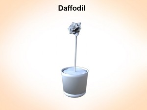 daffodil Model 3D