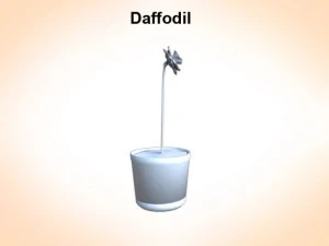 daffodil 3D Model