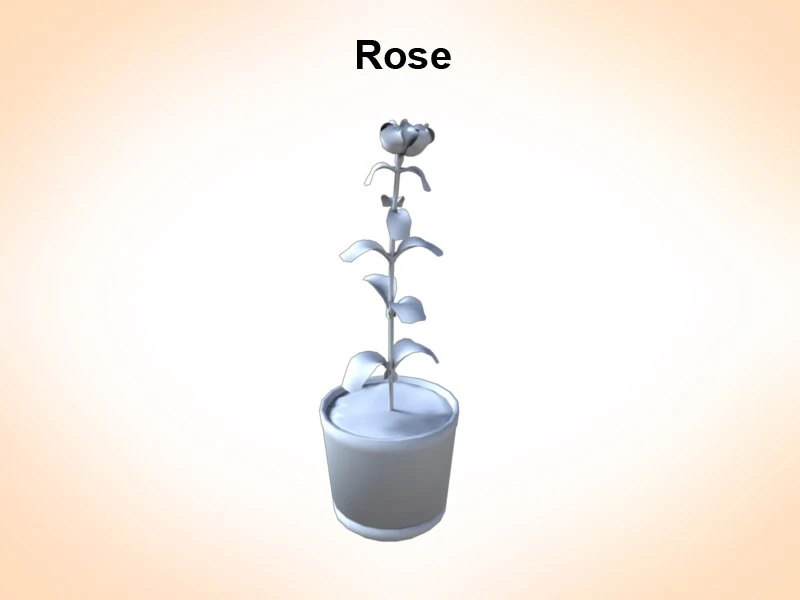 rose 3D Model .c4d .max .obj .3ds .fbx .stl .blend 