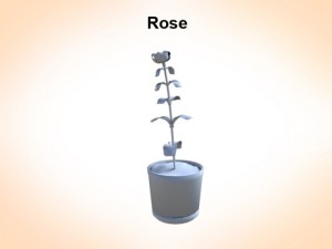rose 3D 모델