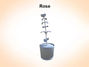rose 3D Model