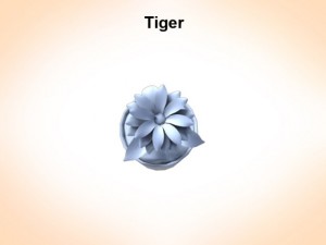 tiger lily 3Dモデル