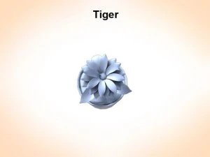 tiger lily 3D Model