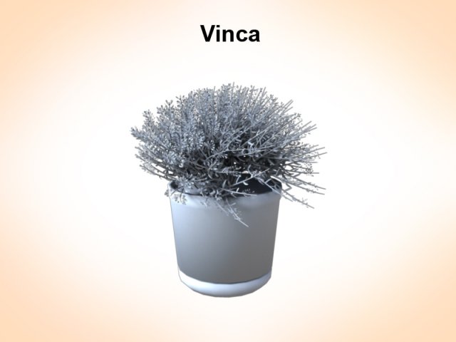 vinca Modèle 3D .c4d .max .obj .3ds .fbx .stl .blend 