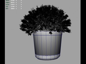 vinca Modèle 3D