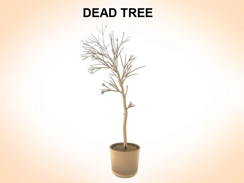 dead tree 3D Model .c4d .max .obj .3ds .fbx .stl .blend 