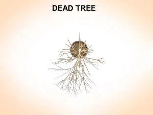 dead tree 3D Model