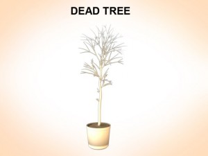 dead tree 3D Model