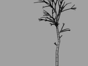 dead tree 3D Model