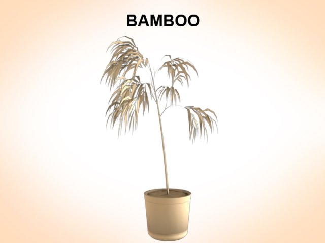bamboo 3D Model .c4d .max .obj .3ds .fbx .stl .blend 