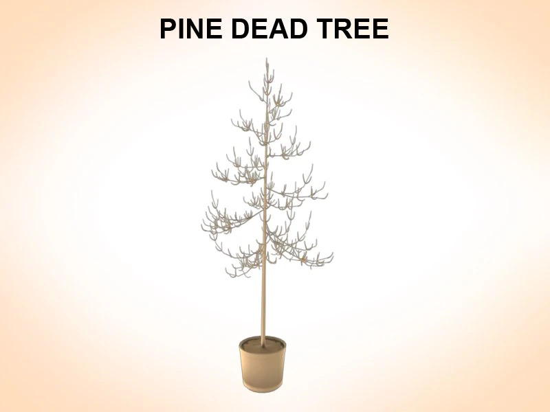 dead pines 3D Model .c4d .max .obj .3ds .fbx .stl .blend 