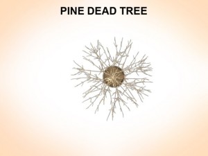 dead pines 3D मॉडल