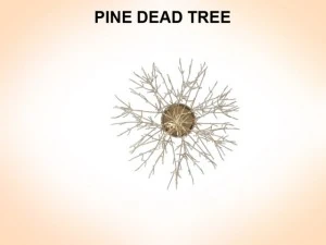 dead pines 3D Model