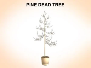 dead pines 3D Model