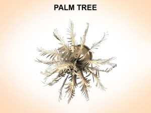 palm tree young 3D 모델