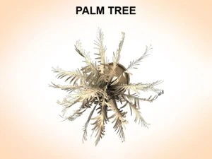 palm tree young 3D Model