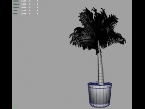 palm tree young 3D 모델
