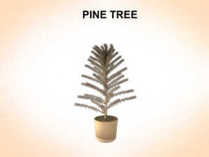 pine tree Modèle 3D
