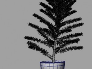 pine tree Modèle 3D