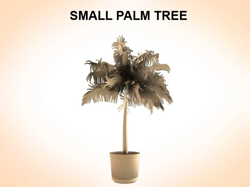 small palm 3D Model .c4d .max .obj .3ds .fbx .stl .blend 