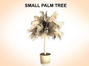 small palm 3D Model