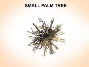 small palm 3D Model