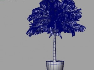 small palm 3D Model
