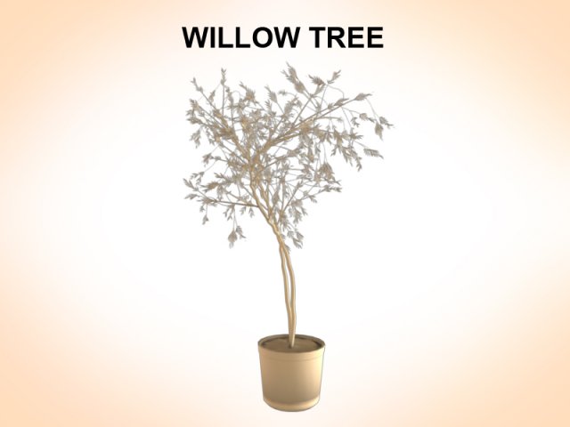 willow tree 3D Model .c4d .max .obj .3ds .fbx .stl .blend 