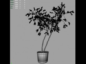 willow tree 3D Model