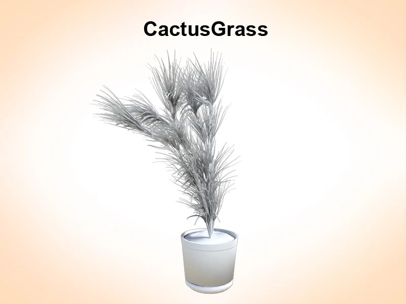 cactus grass 3D Model .c4d .max .obj .3ds .fbx .stl .blend 