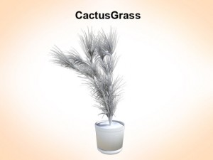 cactus grass Modelo 3D
