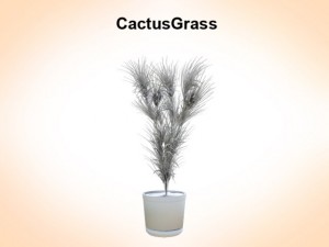 cactus grass 3D Model