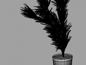 cactus grass 3D Model