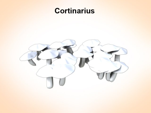cortinarius Model 3D .c4d .max .obj .3ds .fbx .stl .blend 