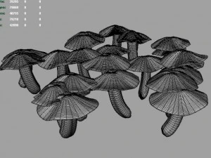 cortinarius Modelo 3D