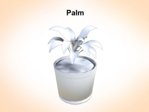 palm 3D Model