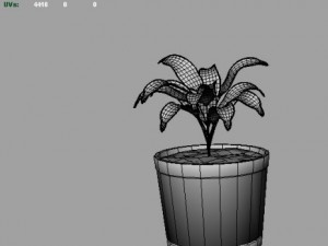 palm Model 3D
