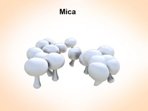mica mushrooms Modelo 3D
