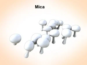 mica mushrooms 3D Model