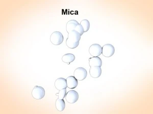 mica mushrooms 3D Model