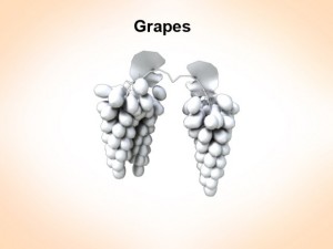 bunch of grapes Modelo 3D