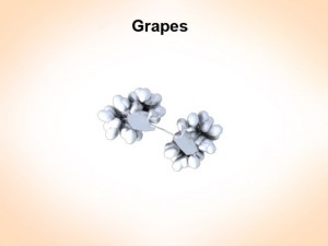 bunch of grapes Model 3D